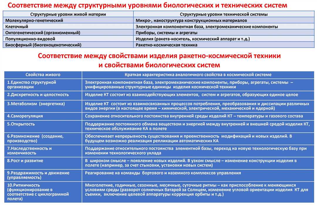 Ориентация и навигация