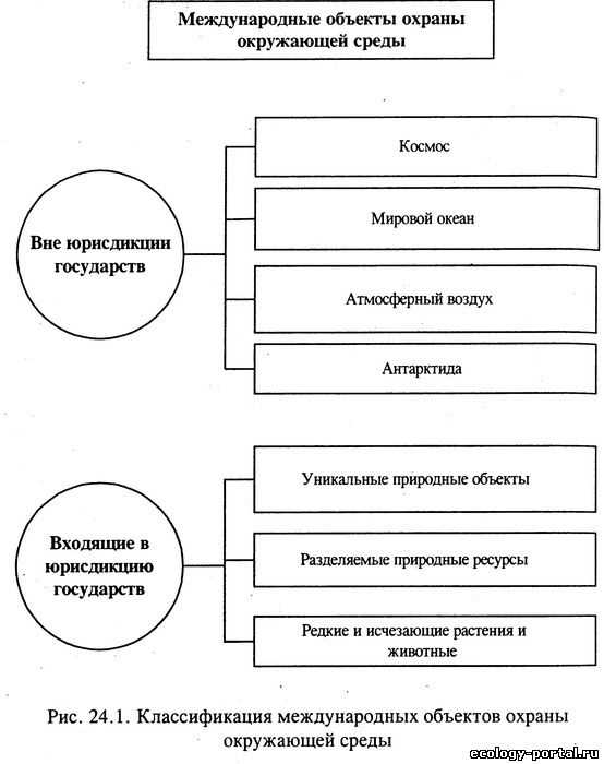 Перспективы развития международных территорий