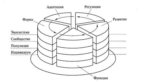 Учение В.И. Вернадского о биосфере как сложном планетарном биокостном теле